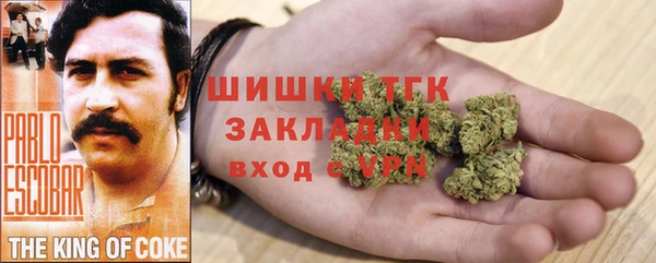 ПСИЛОЦИБИНОВЫЕ ГРИБЫ Алексин