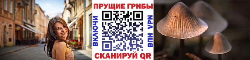 как найти наркотики  Урай  Псилоцибиновые грибы Magic Shrooms 